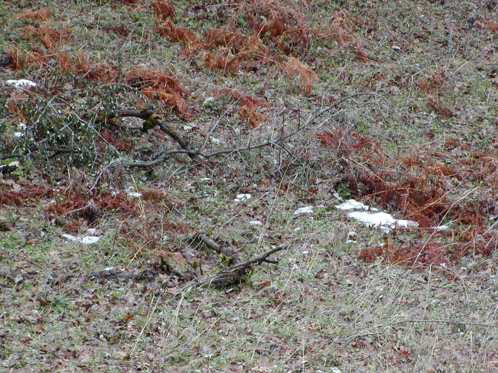 No description provided for: /2008/01-03/0126-castlerock/_3/photo63.html