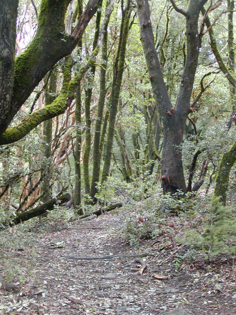 No description provided for: /2008/01-03/0126-castlerock/_3/photo65.html