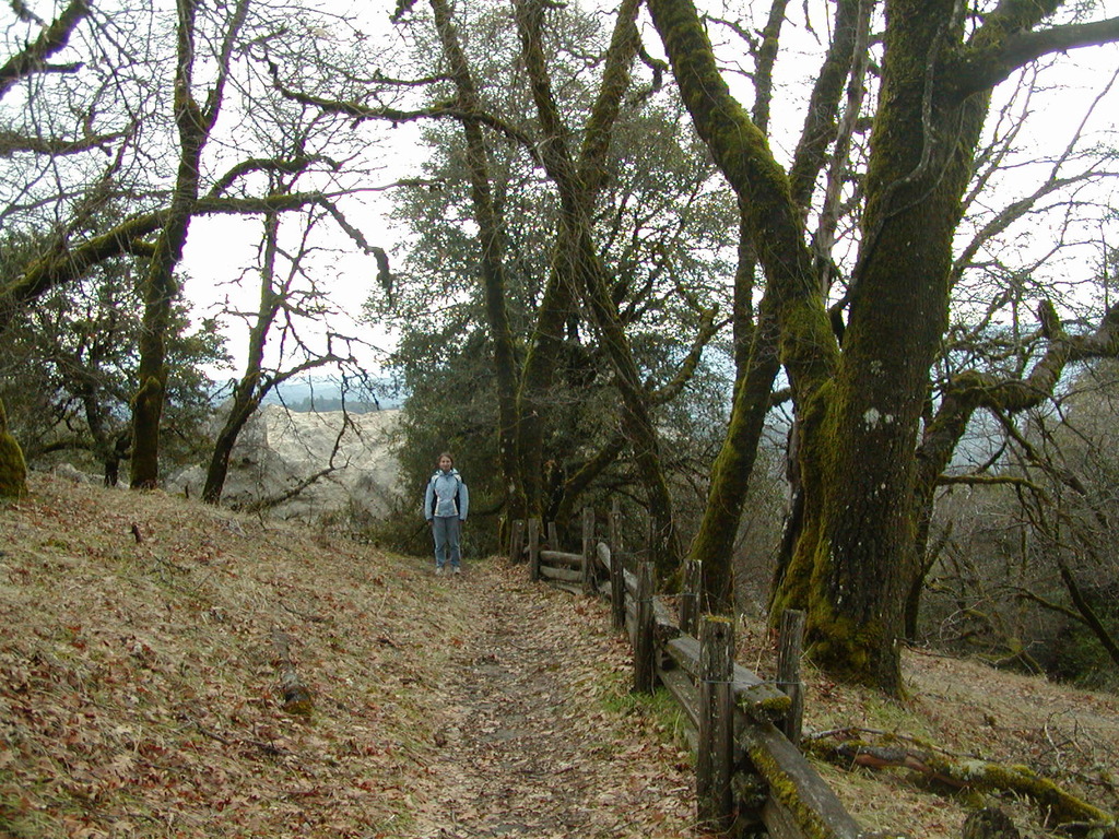 No description provided for: /2008/01-03/0126-castlerock/_4/photo67.html