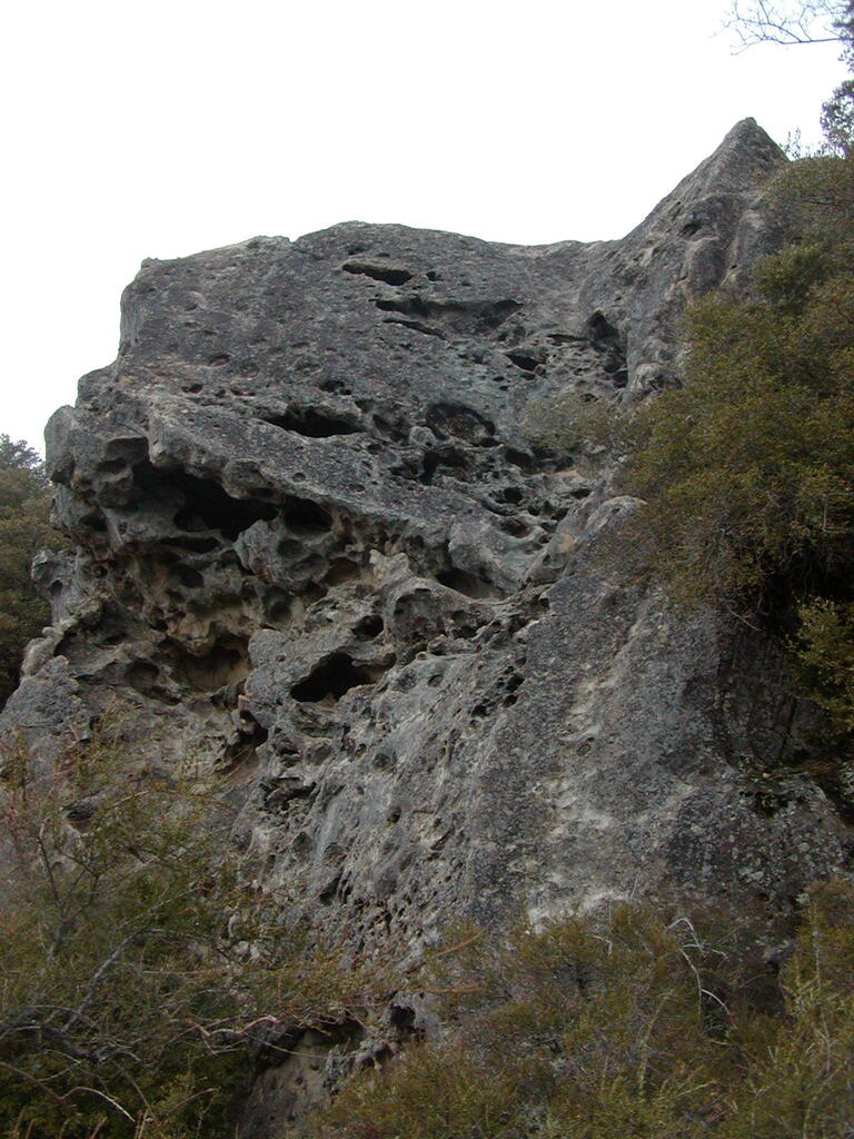 No description provided for: /2008/01-03/0126-castlerock/_4/photo71.html