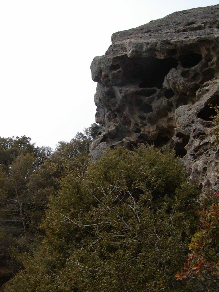 No description provided for: /2008/01-03/0126-castlerock/_4/photo72.html