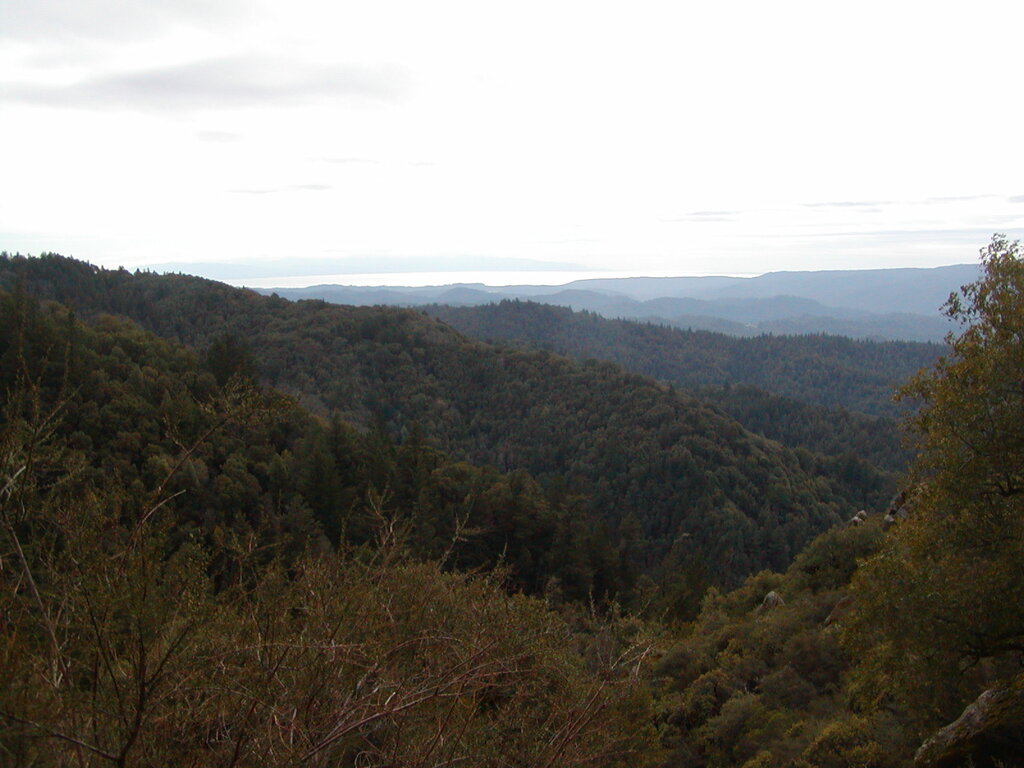 No description provided for: /2008/01-03/0126-castlerock/_4/photo74.html