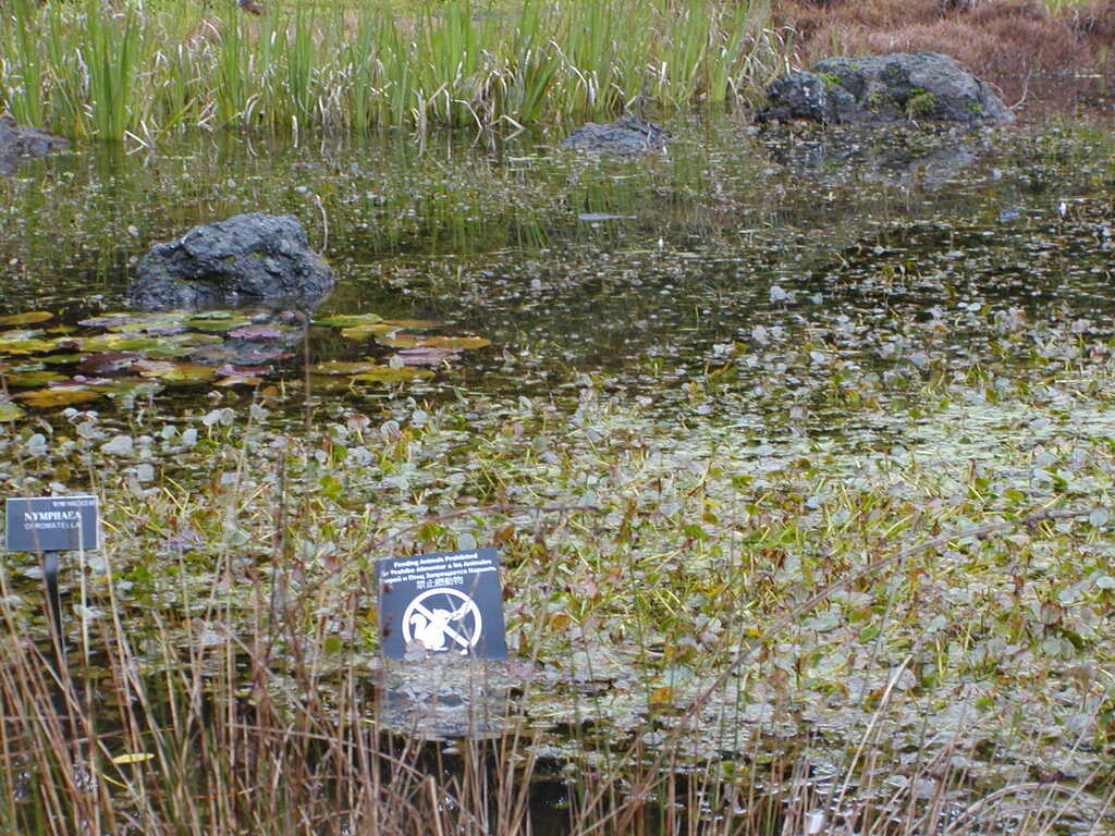 No description provided for: /2008/01-03/0129-san-francisco/photo03.html