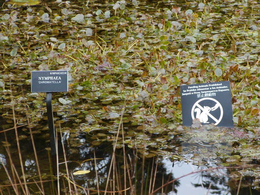 No description provided for: /2008/01-03/0129-san-francisco/photo04.html