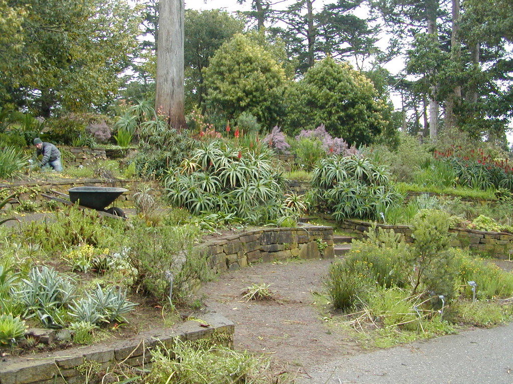 No description provided for: /2008/01-03/0129-san-francisco/photo05.html