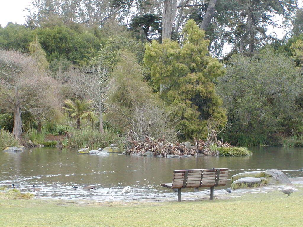 No description provided for: /2008/01-03/0129-san-francisco/photo07.html