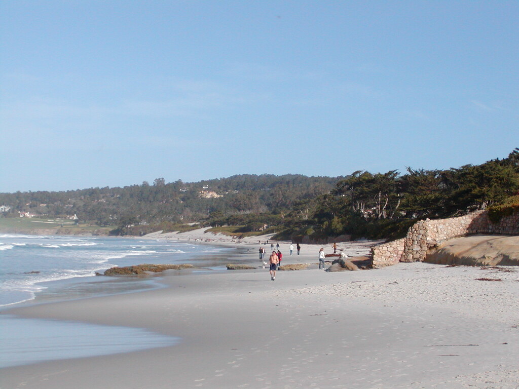 No description provided for: /2008/01-03/0201-monterey/photo02.html