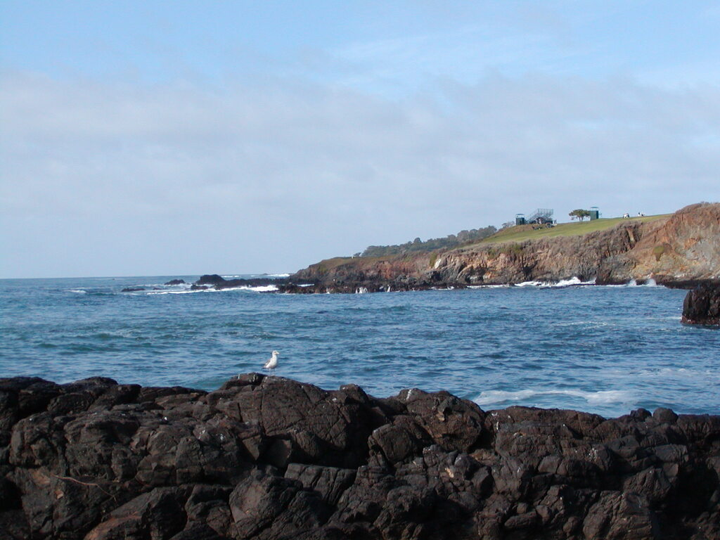 No description provided for: /2008/01-03/0201-monterey/photo06.html