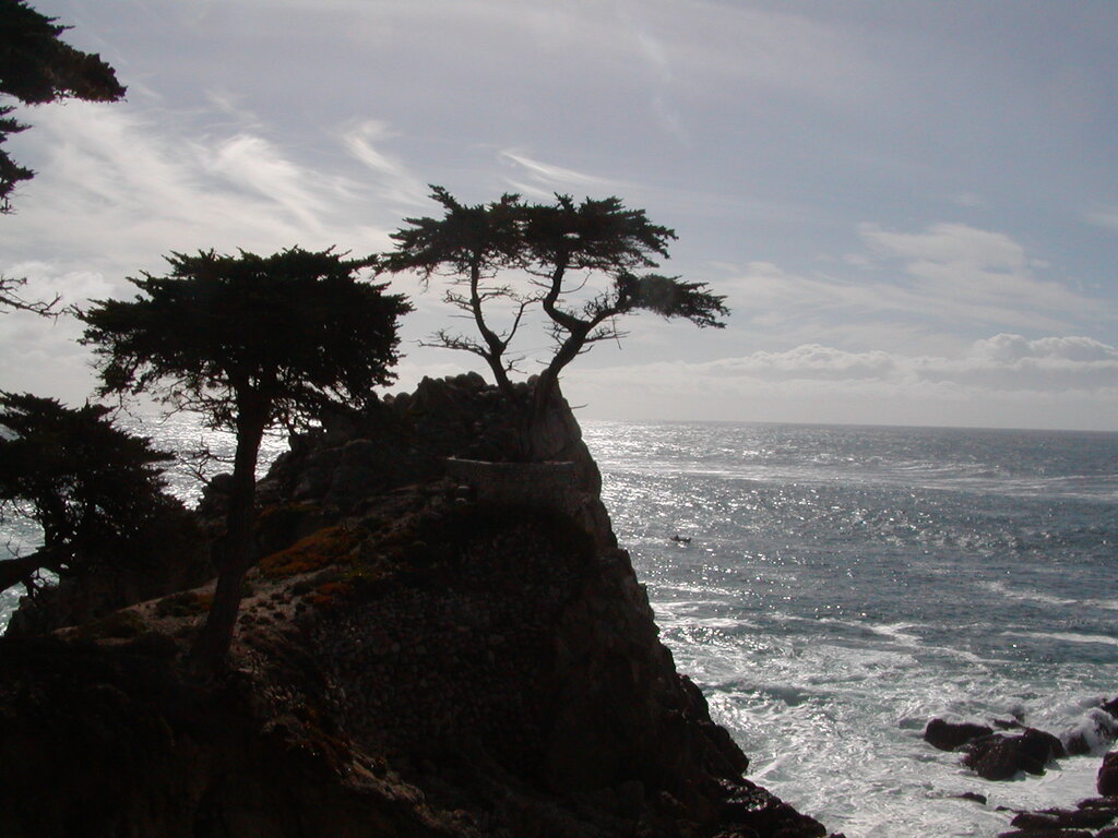 No description provided for: /2008/01-03/0201-monterey/photo13.html