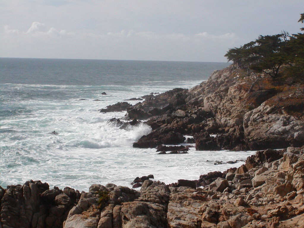 No description provided for: /2008/01-03/0201-monterey/photo15.html