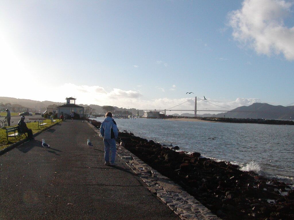 No description provided for: /2008/01-03/0203-san-francisco/photo01.html