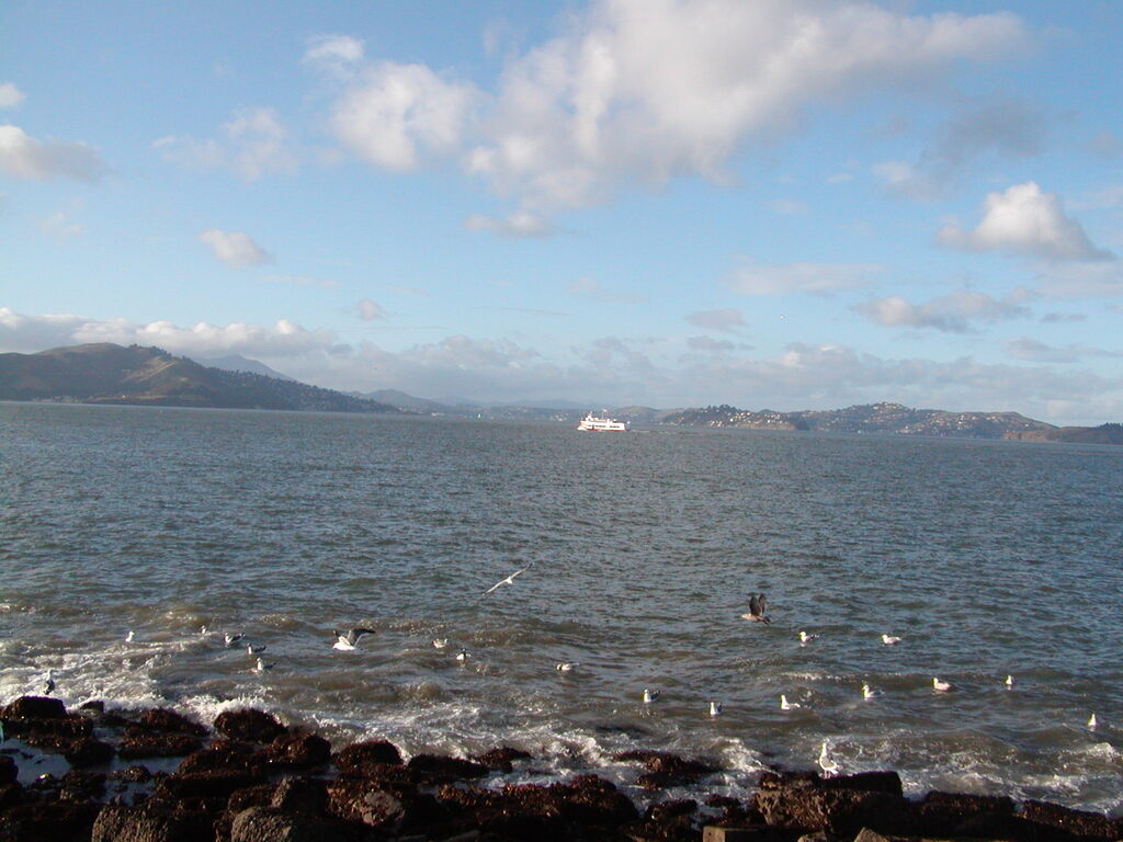 No description provided for: /2008/01-03/0203-san-francisco/photo05.html