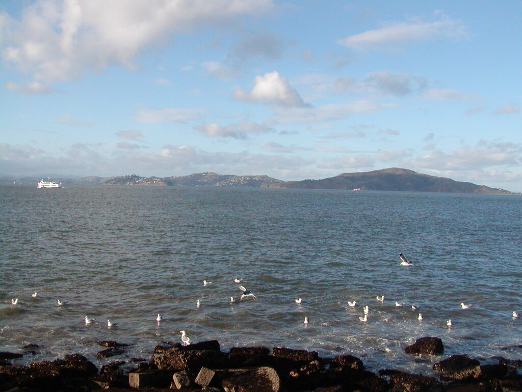 No description provided for: /2008/01-03/0203-san-francisco/photo06.html