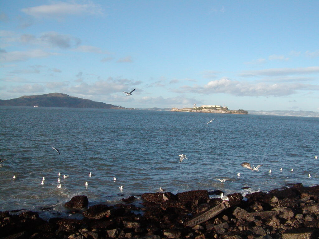 No description provided for: /2008/01-03/0203-san-francisco/photo07.html