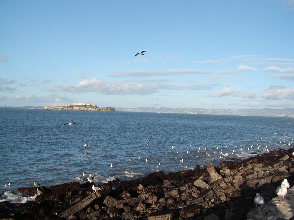 No description provided for: /2008/01-03/0203-san-francisco/photo08.html