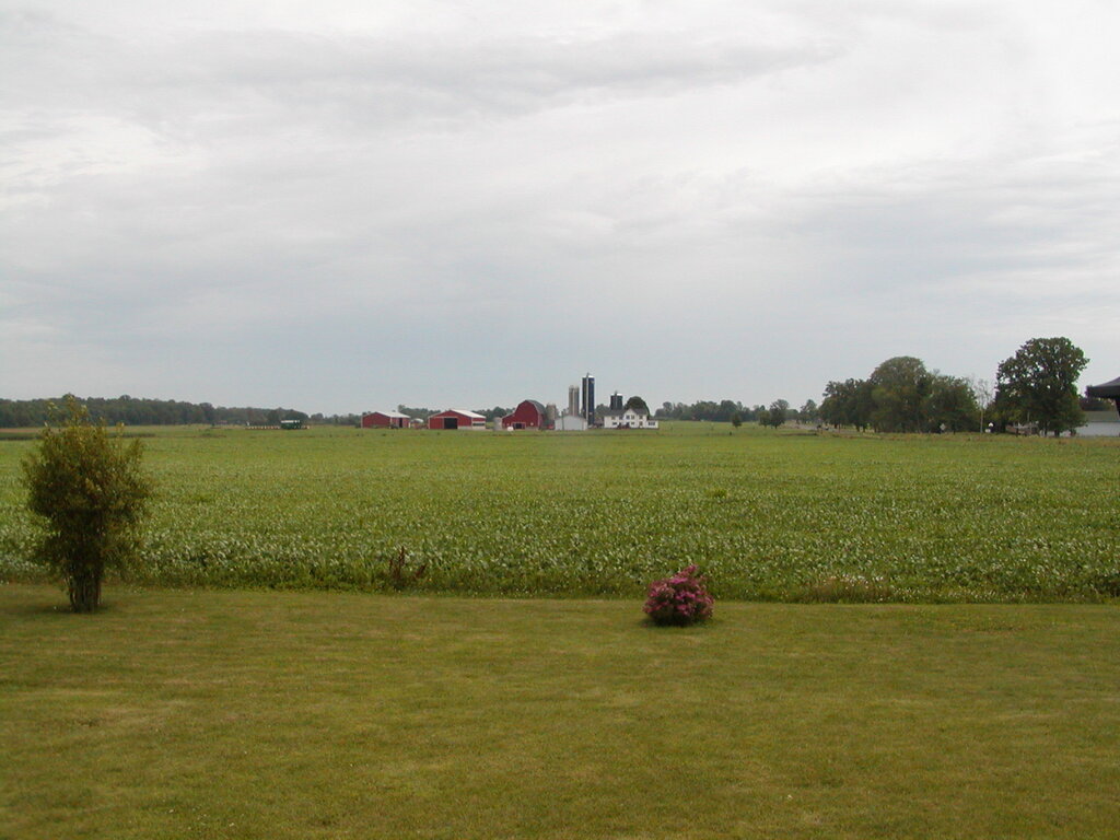 No description provided for: /2008/07-09/0714-mikan/photo02.html