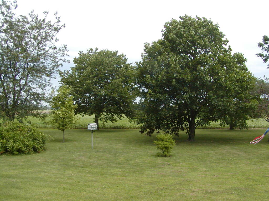 No description provided for: /2008/07-09/0714-mikan/photo04.html