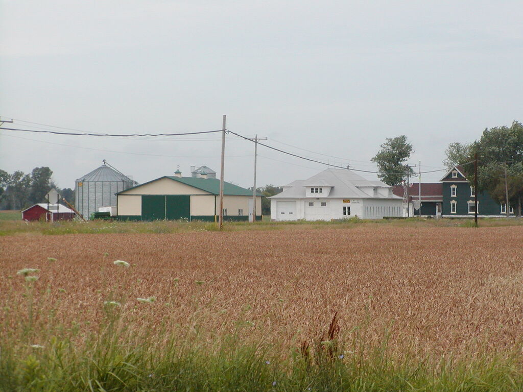 No description provided for: /2008/07-09/0714-mikan/photo05.html