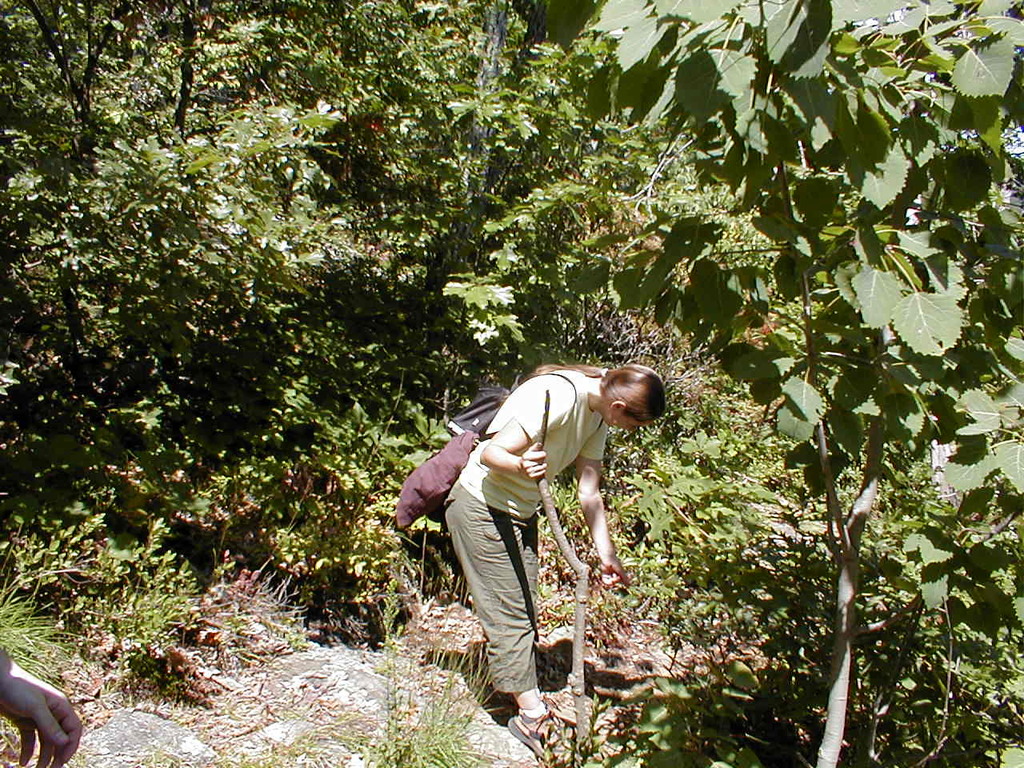 No description provided for: /2008/07-09/0826-erin-hiking/_1/photo01.html