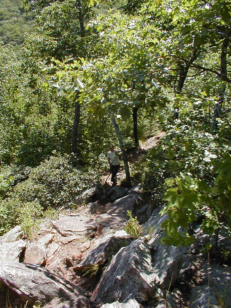 No description provided for: /2008/07-09/0826-erin-hiking/_1/photo13.html