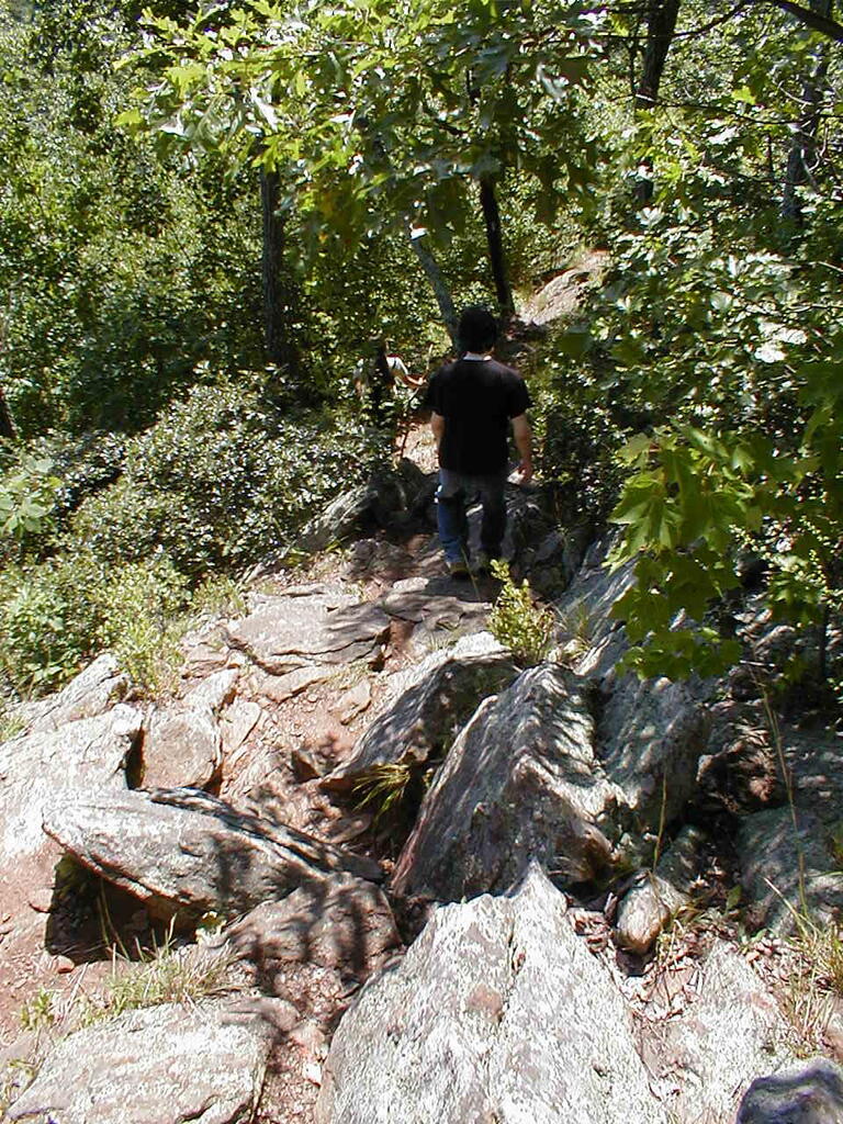 No description provided for: /2008/07-09/0826-erin-hiking/_1/photo14.html