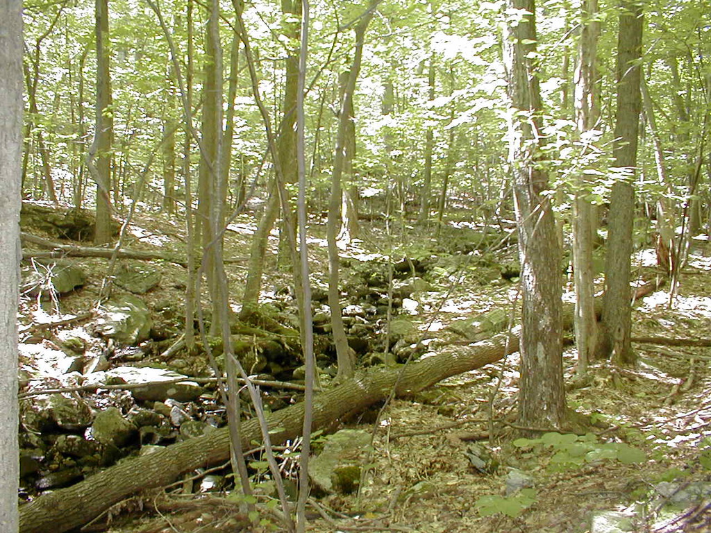 No description provided for: /2008/07-09/0826-erin-hiking/_1/photo16.html