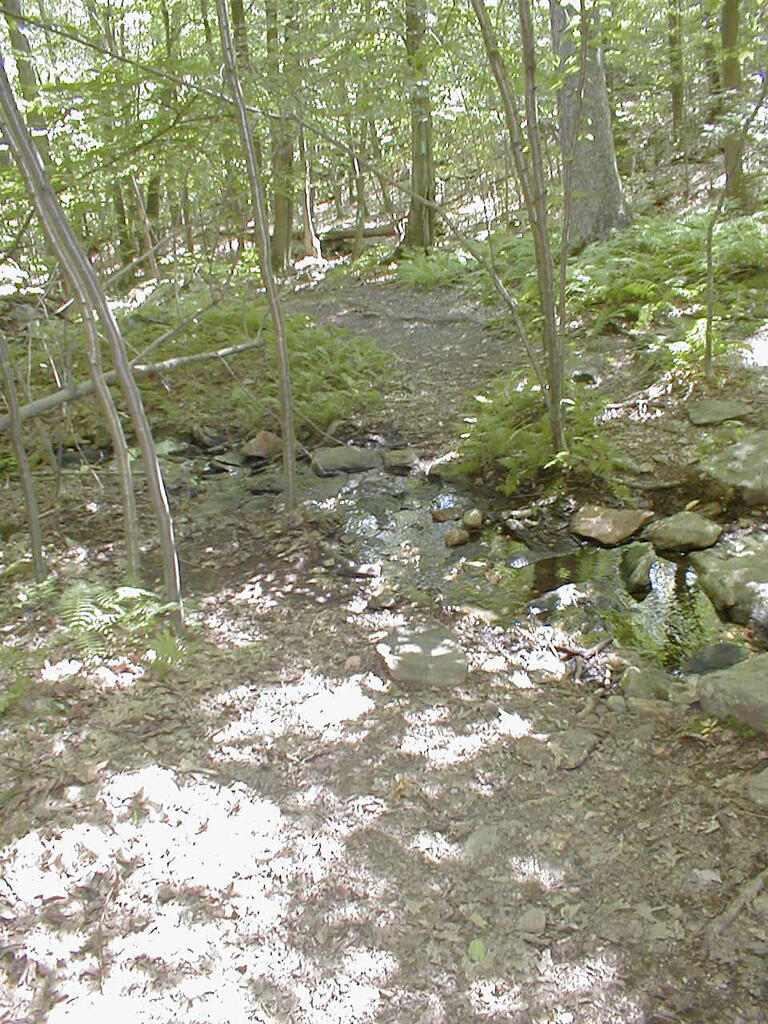 No description provided for: /2008/07-09/0826-erin-hiking/_2/photo18.html