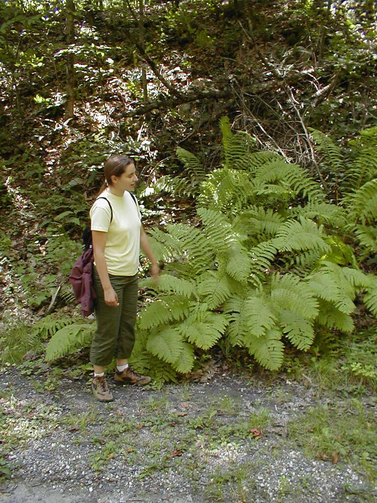 No description provided for: /2008/07-09/0826-erin-hiking/_2/photo23.html