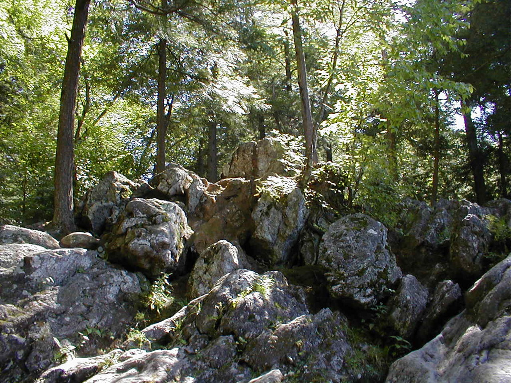 No description provided for: /2008/07-09/0826-erin-hiking/_2/photo29.html