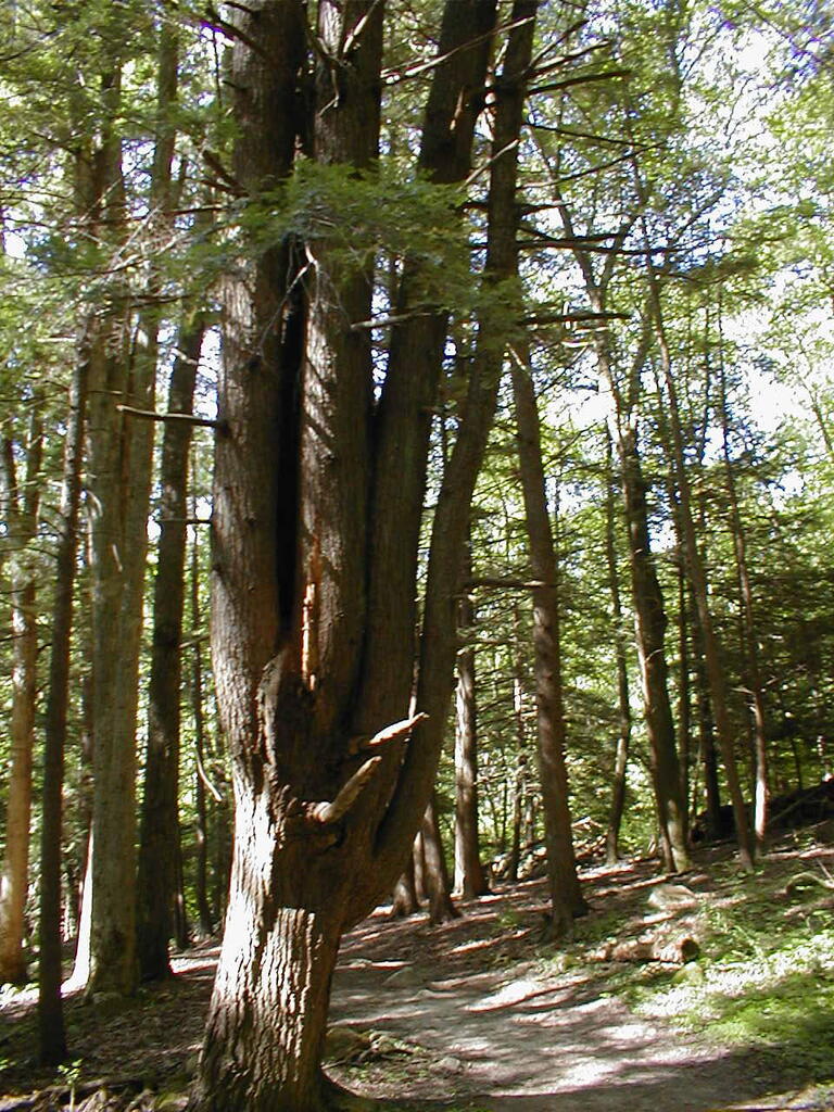 No description provided for: /2008/07-09/0826-erin-hiking/_2/photo32.html