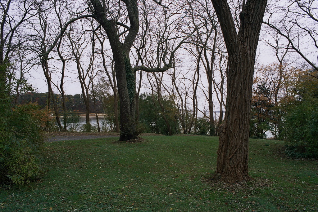 No description provided for: /2008/10-12/1108-quanset-pond/photo04.html