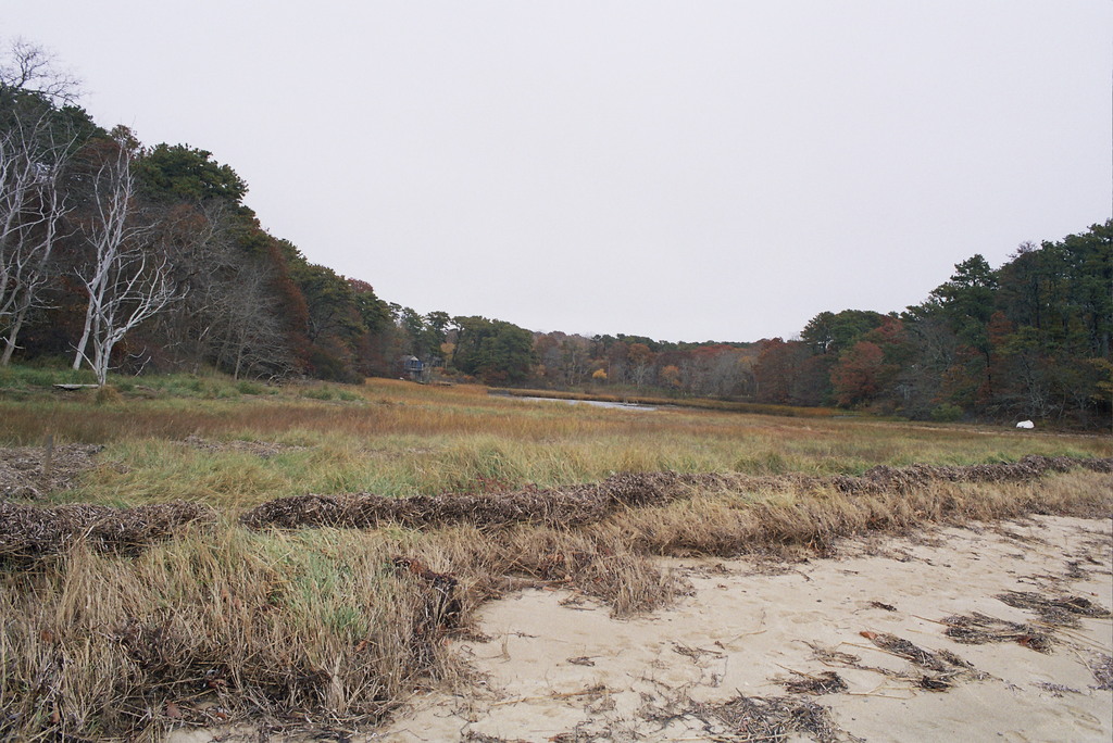 No description provided for: /2008/10-12/1108-quanset-pond/photo11.html