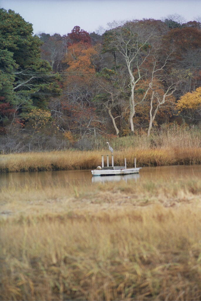 No description provided for: /2008/10-12/1108-quanset-pond/photo22.html