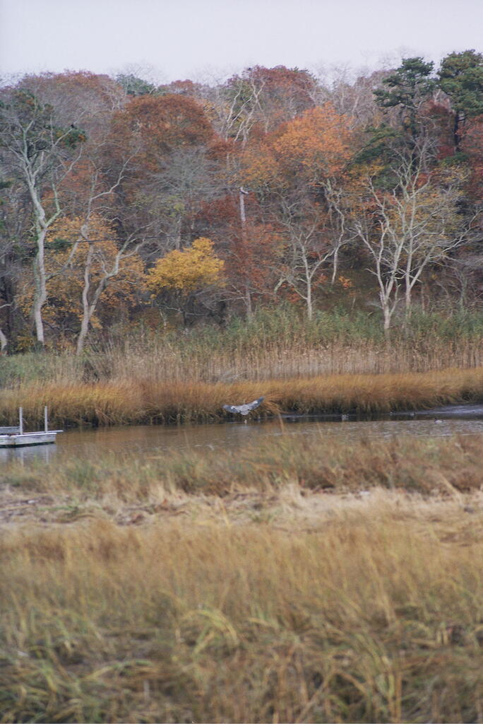 No description provided for: /2008/10-12/1108-quanset-pond/photo23.html