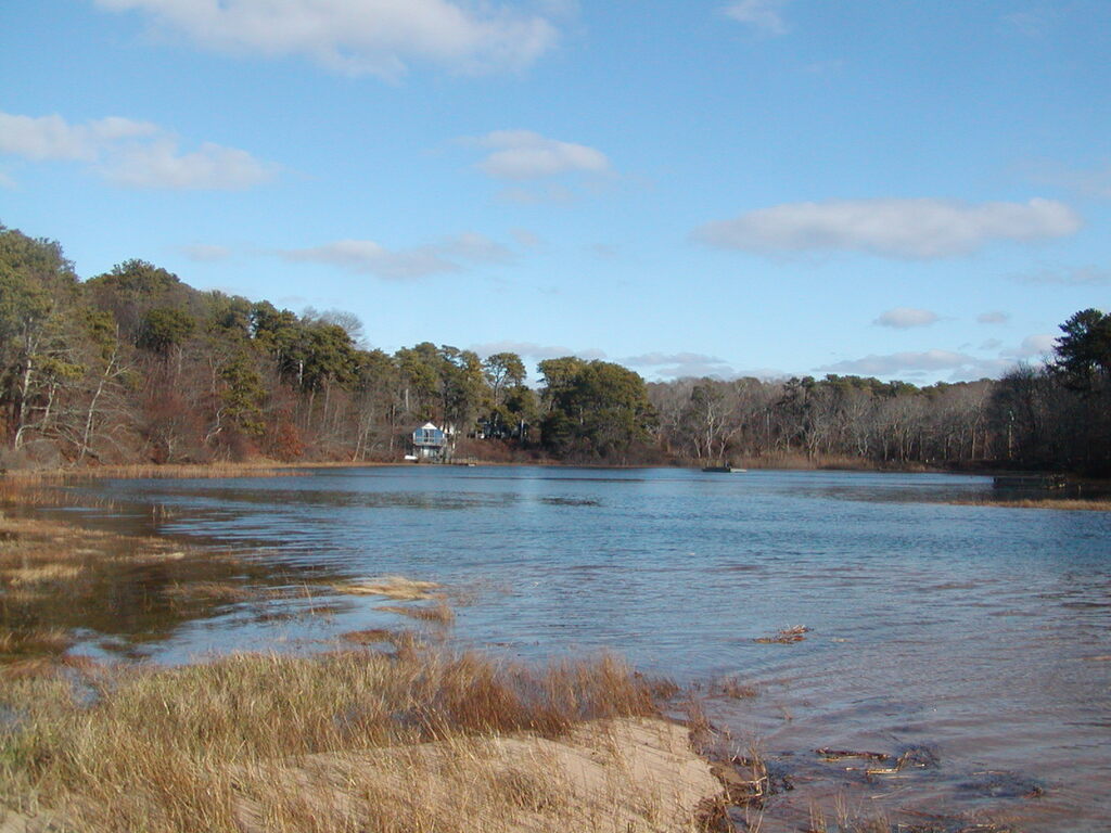 No description provided for: /2008/10-12/1213-high-tide/photo03.html