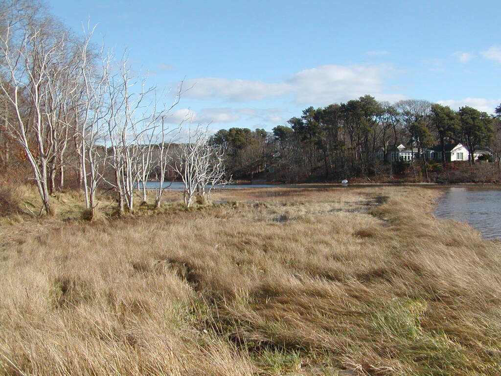 No description provided for: /2008/10-12/1213-high-tide/photo04.html