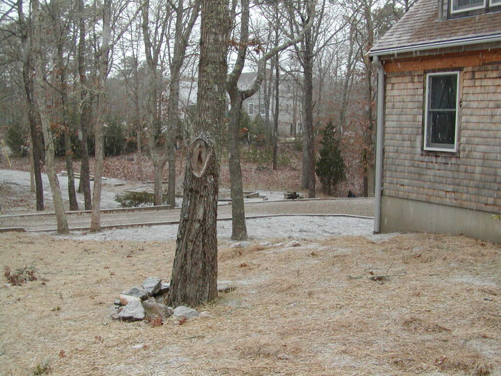 No description provided for: /2008/10-12/1231-driveway/photo02.html