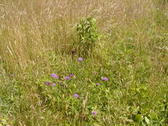 Image file: photo02.jpg