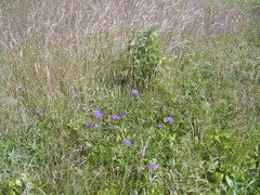 Image file: photo03.jpg