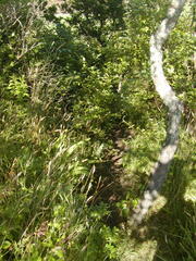 Image file: photo08.jpg