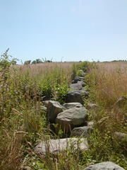 Image file: photo10.jpg