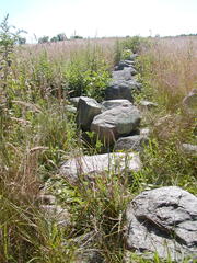 Image file: photo11.jpg