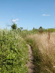 Image file: photo15.jpg