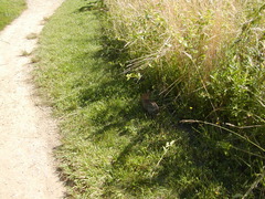 Image file: photo18.jpg