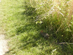 Image file: photo19.jpg