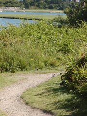 Image file: photo25.jpg