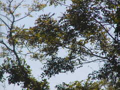 Image file: photo28.jpg