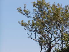 Image file: photo29.jpg