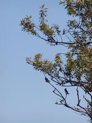 Image file: photo31.jpg