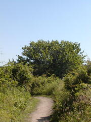 Image file: photo34.jpg